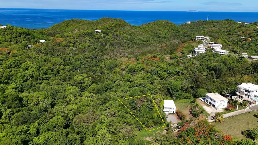 Hidden Tranquil Lot 413 Sector Collazo, Rincon, PR 00677 - #2