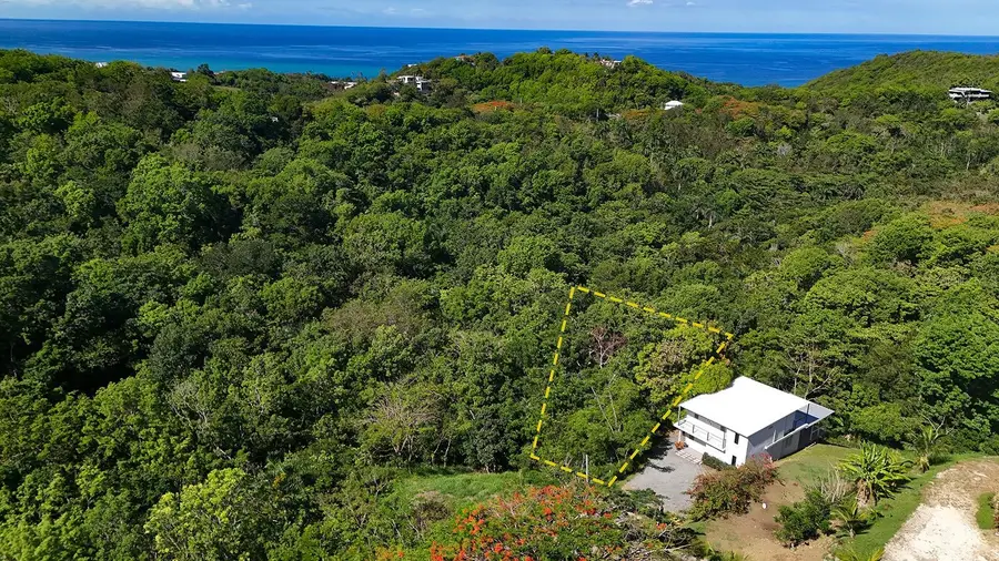 Hidden Tranquil Lot 413 Sector Collazo, Rincon, PR 00677 - #3