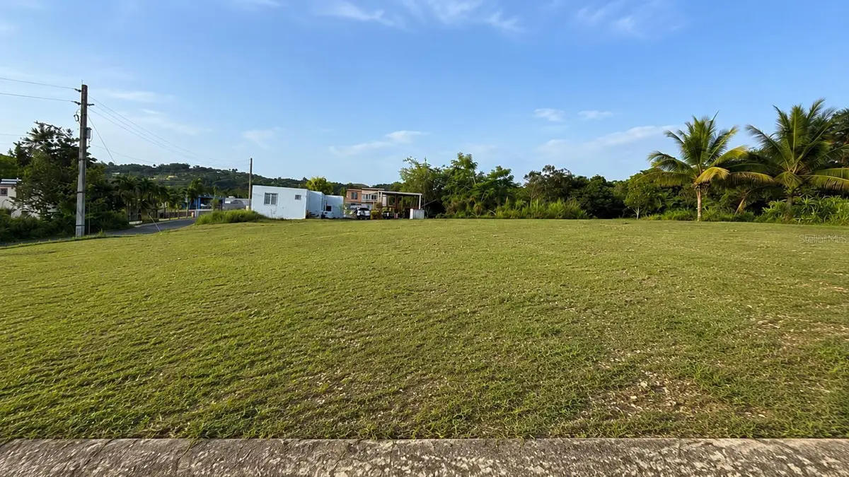 Carr 447 Km Hm 41 Urb Lomas Aibonito #8, San Sebastian, PR 00685 - #1