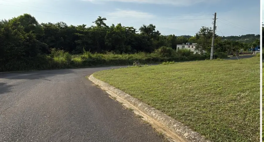 Carr 447 Km Hm 41 Urb Lomas Aibonito #8, San Sebastian, PR 00685 - #2