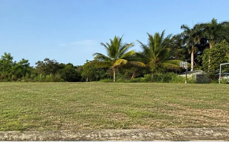 Carr 447 Km Hm 41 Urb Lomas Aibonito #8, San Sebastian, PR 00685 - #3
