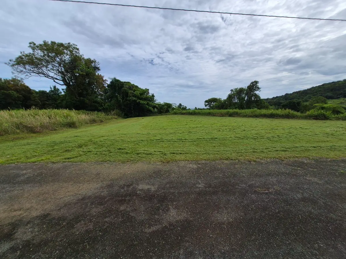 PR 956 KM 8.8 E Sector Los Medinas Bo Guzman Arriba, Rio Grande, PR 00745 - #1