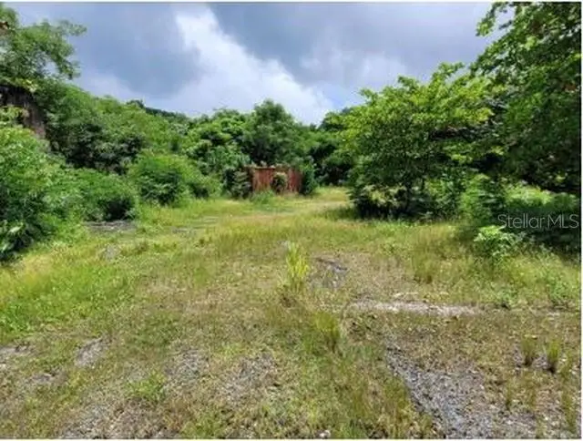Felipe La Voz Rodriguez, Guaynabo, PR 00969 - #1