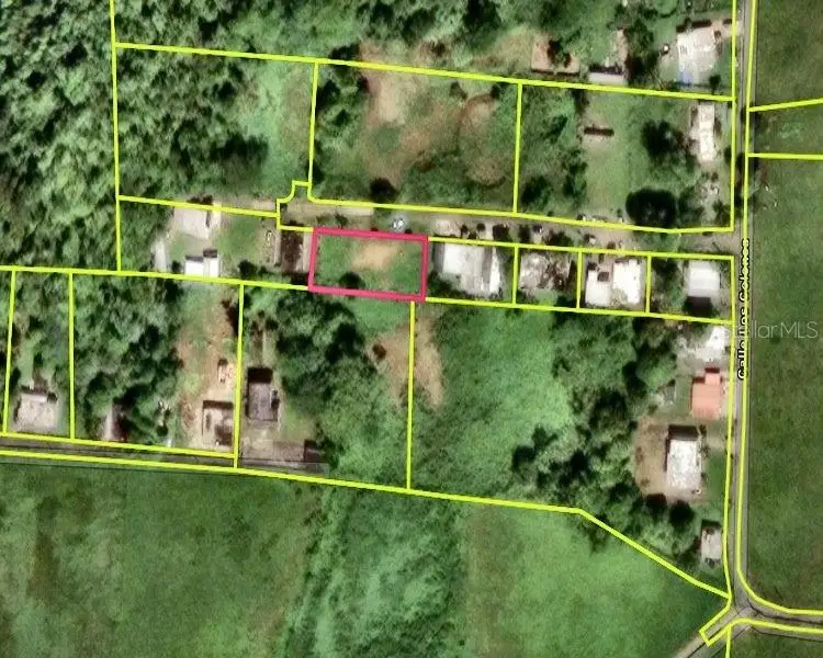 Bo. Dominguito, Sector Los Colonos,, Arecibo, PR 00612 - #2