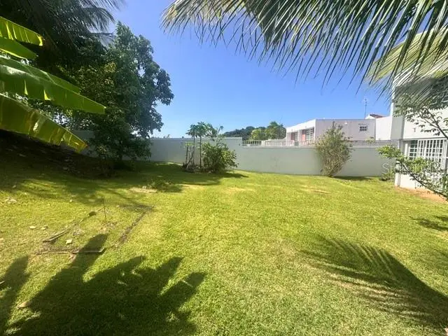 03 Rio Mameyes, Luquillo, PR 00773 - #2