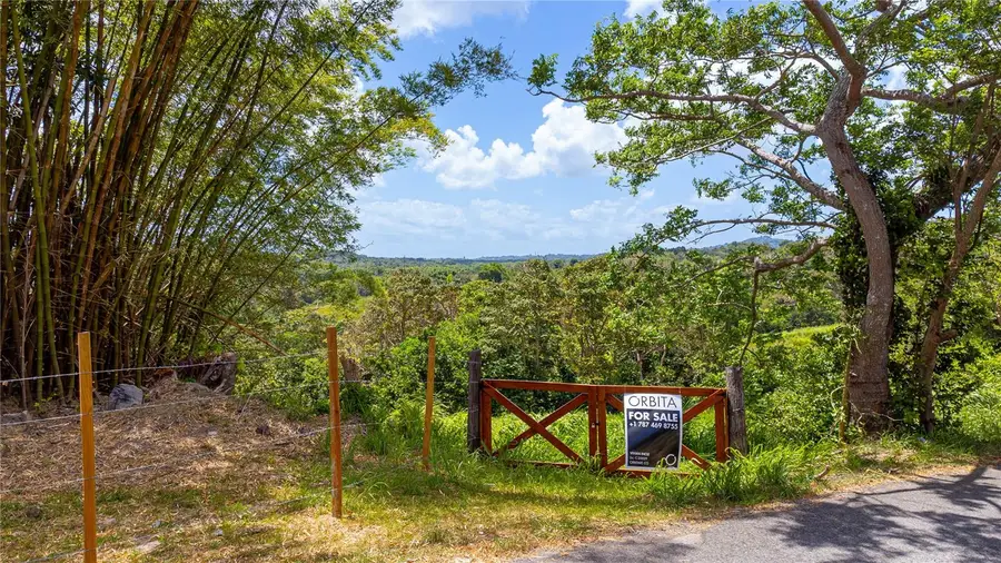 Bo. Valenciano, Juncos, PR 00777 - #2