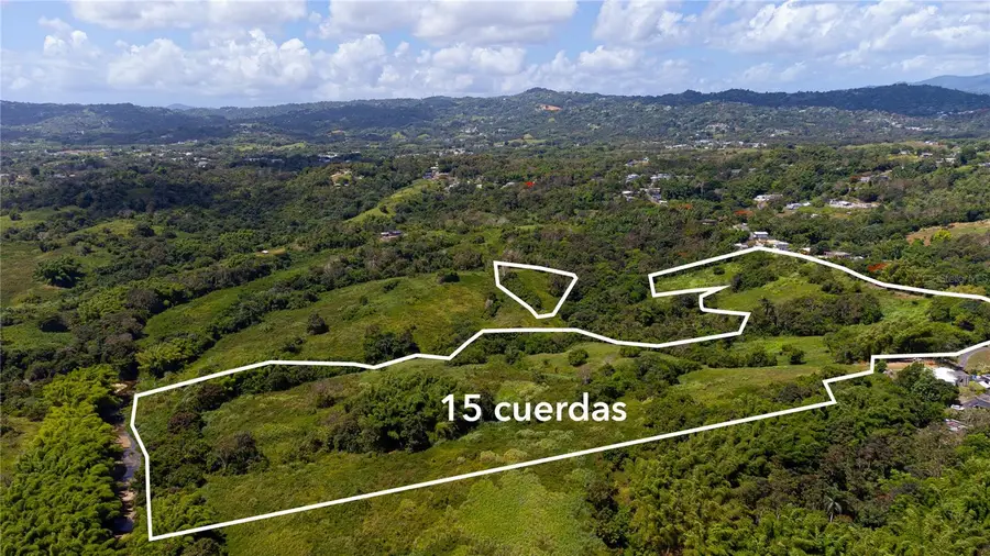 Bo. Valenciano, Juncos, PR 00777 - #3