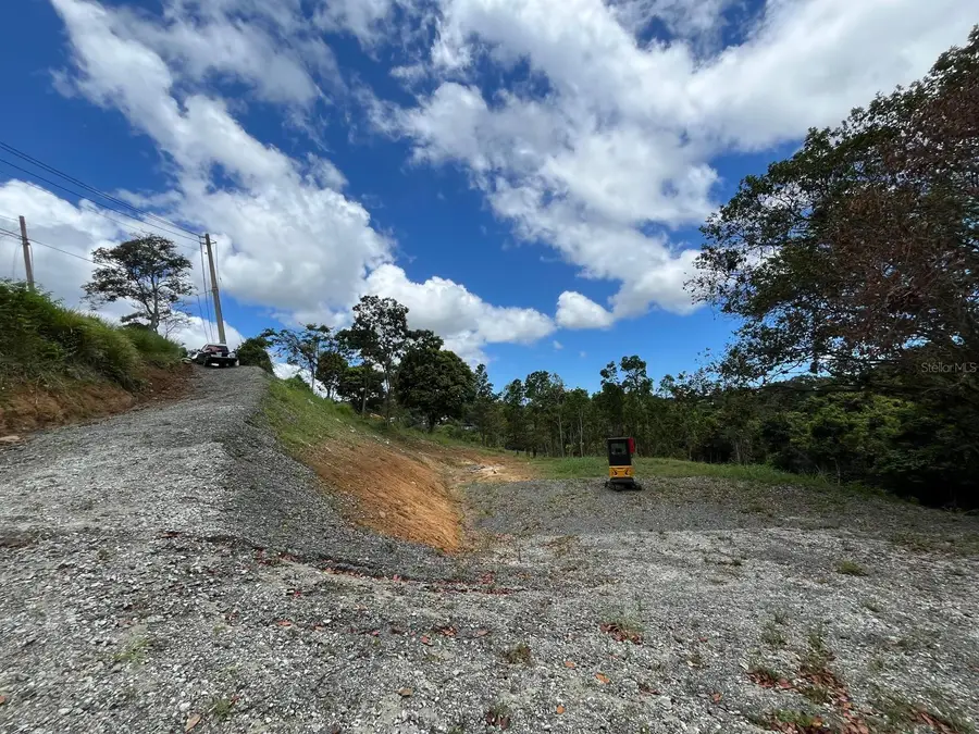 LOT 5 Km 2.5 Carretera 856, Carolina, PR 00987 - #2