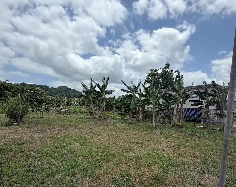 Bo. Limones, Yabucoa, PR 00767 - #2