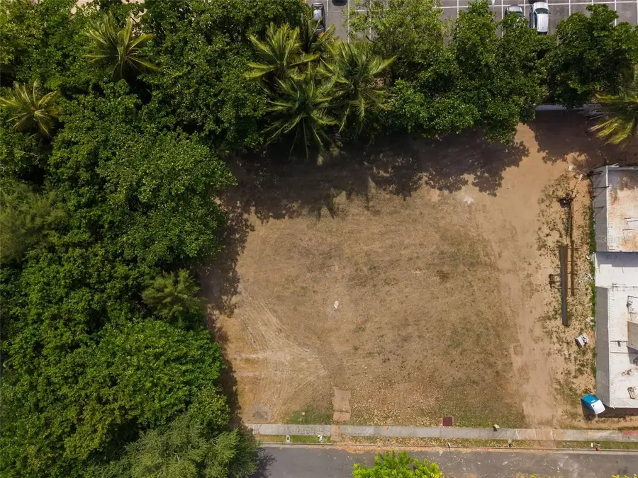 Las Picas Ocean Forest #Lot 3, Rio Grande, PR 00745 - #3