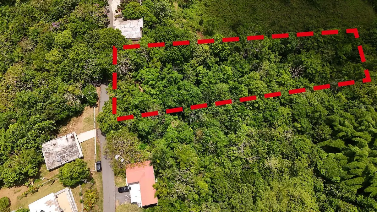 SECRET SPOT Carr 4414, Aguada, PR 00602 - #1