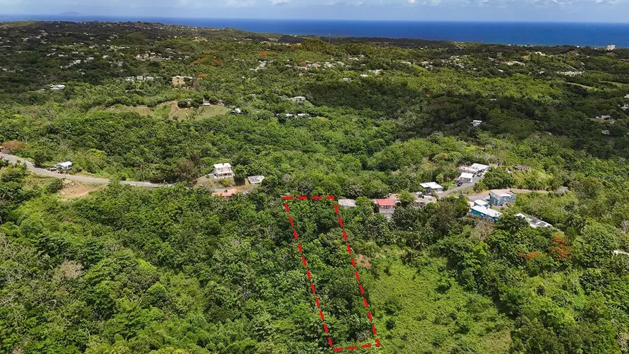 SECRET SPOT Carr 4414, Aguada, PR 00602 - #2