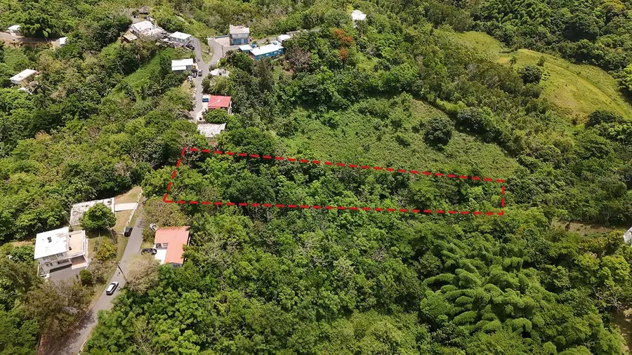 SECRET SPOT Carr 4414, Aguada, PR 00602 - #3