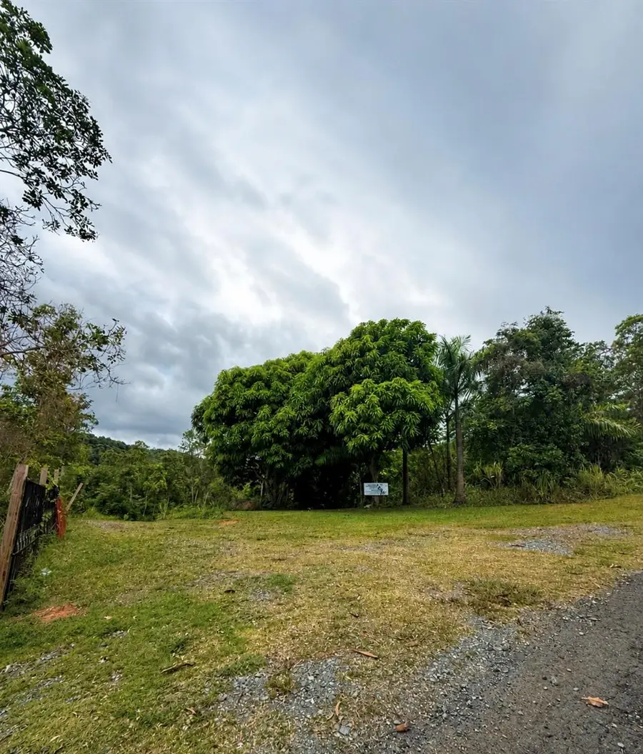 Fincas De Naranjo, Fajardo, PR 00738 - #2
