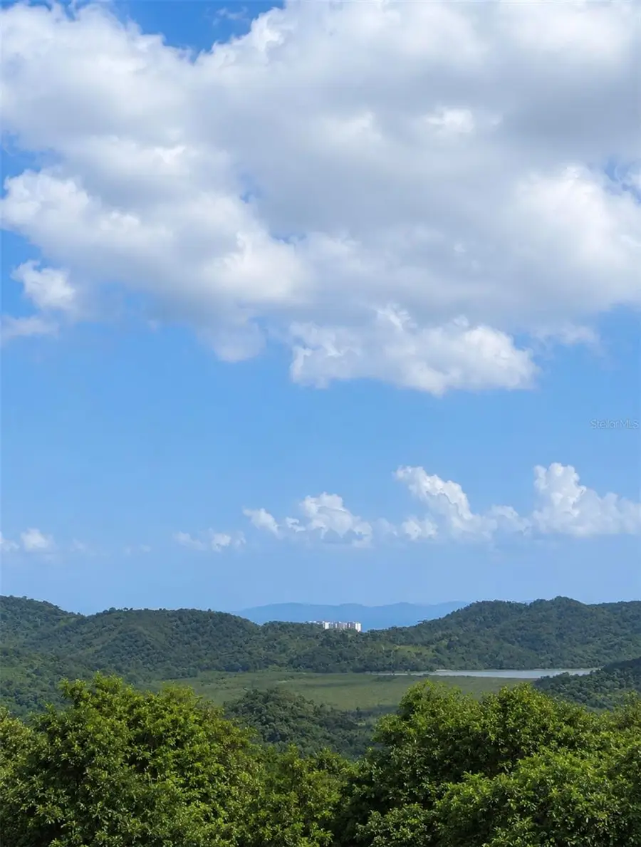 Fincas De Naranjo, Fajardo, PR 00738 - #3