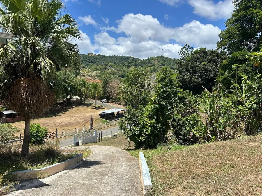 181 Km 11 #8, Trujillo Alto, PR 00976 - #3