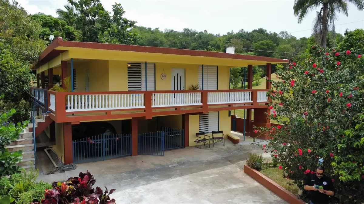 carr. 985 km 3.0 Bo. Florencio, Fajardo, PR 00738 - #1
