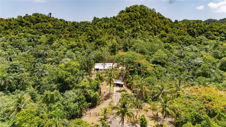 Comm Cienguetas #33 Bo Esperanza, Arecibo, PR 00612 - #3