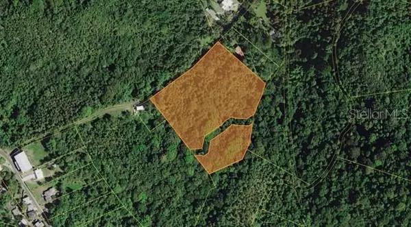 PR-853 INTERIOR Cacao Ward #LOT 7, CAROLINA, PR 00987