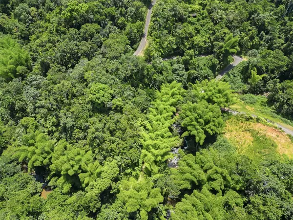 Carretera 124 Km 1.3 Bo. Buena Vista, LAS MARIAS, PR 00670