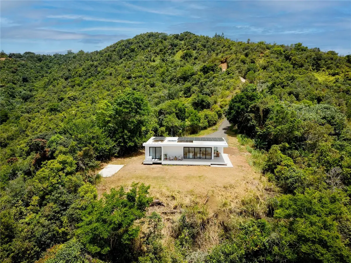 Bo Sumido 7737 Km 1 6, Cayey, PR 00736 - #1