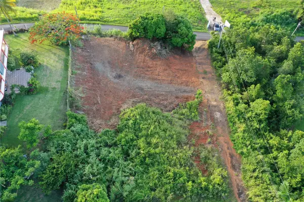 975 Int, CEIBA, PR 00735