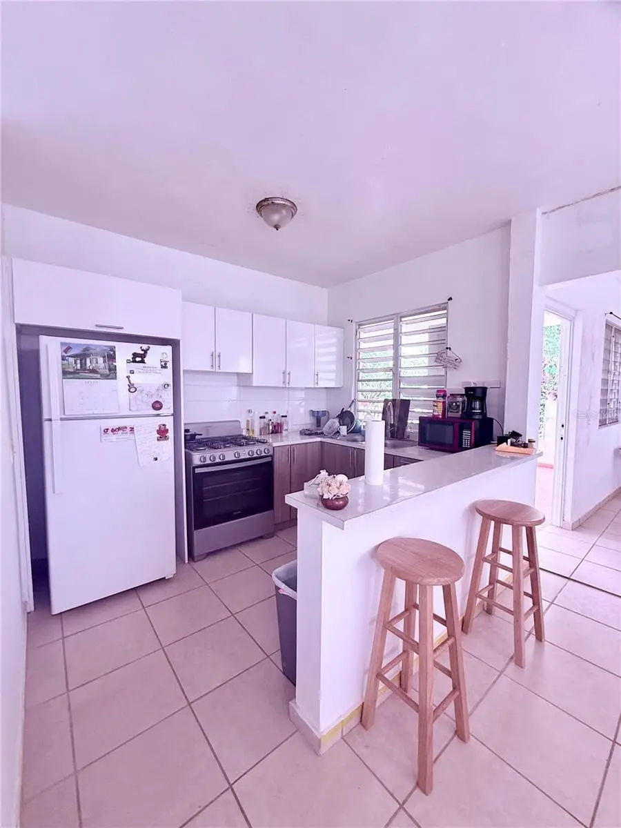 181 Route, Yabucoa, PR 00767 - #2
