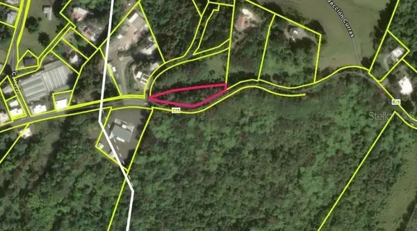 Address Withheld By Seller, MOROVIS, PR 00687
