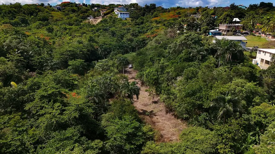 PUNTAS PARADISE-- Calle Vista Del Mar, Rincon, PR 00677 - #3