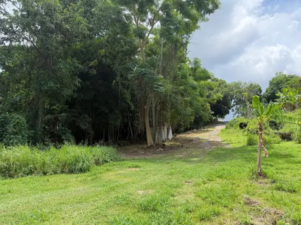CARR 304 Barrio Jaguitas Ward, HORMIGUEROS, PR 00660