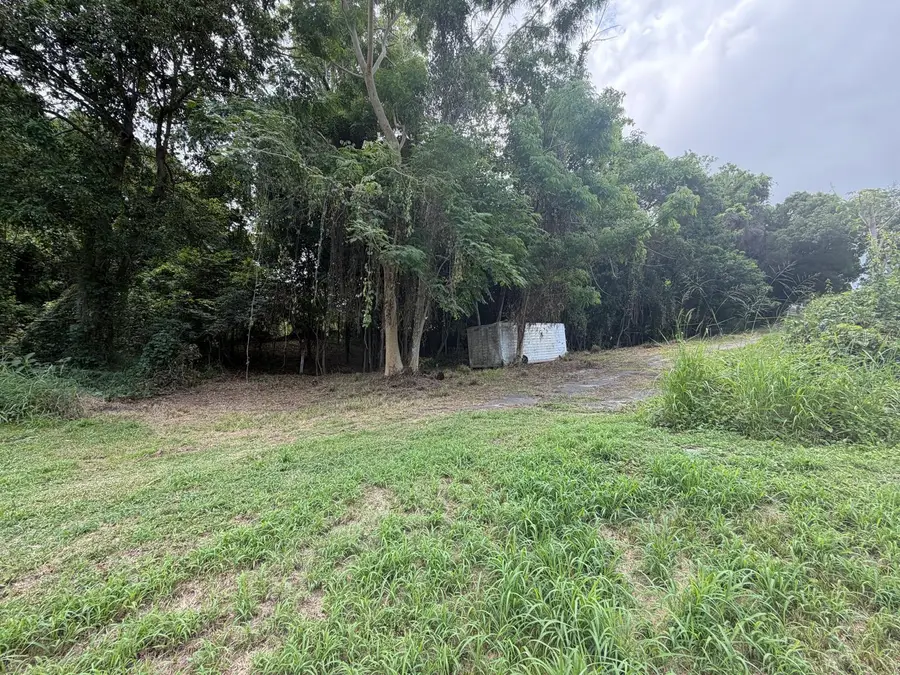 CARR 304 Barrio Jaguitas Ward, Hormigueros, PR 00660 - #2