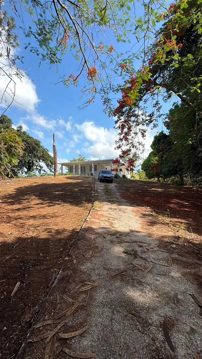 Ranchos Nativos Orquidea St Lot 43, Vega Alta, PR 00692 - #2