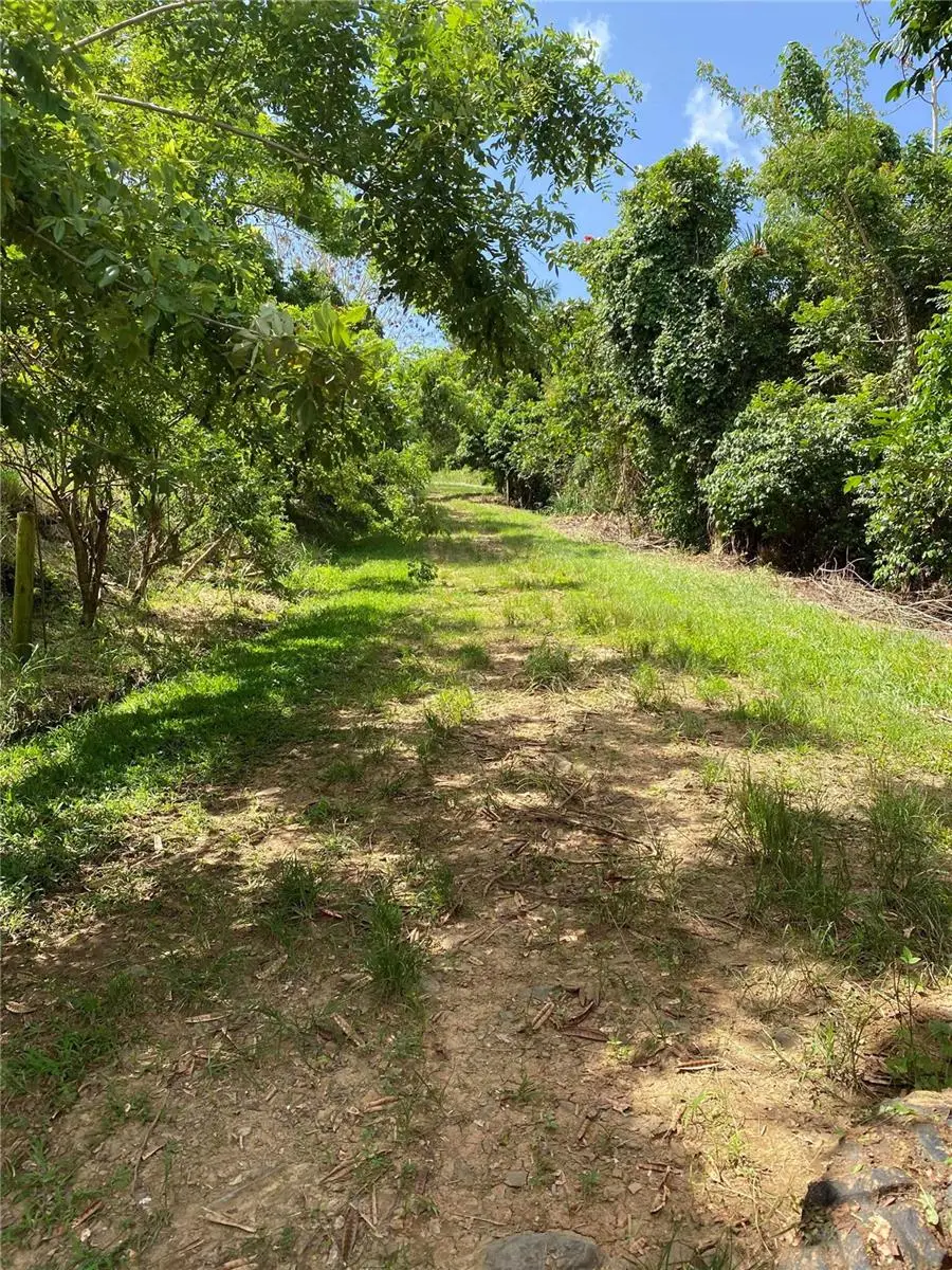 Quebrada Grande, Trujillo Alto, PR 00976 - #3