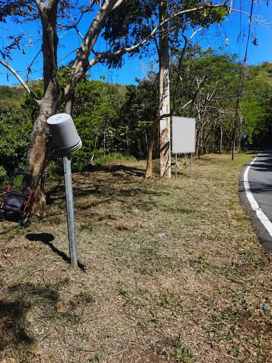 Barrero Street, Rincon, PR 00677 - #2