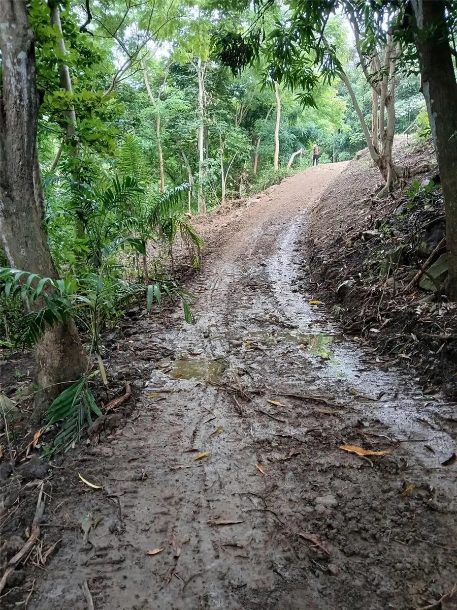 Barrero Street, Rincon, PR 00677 - #3