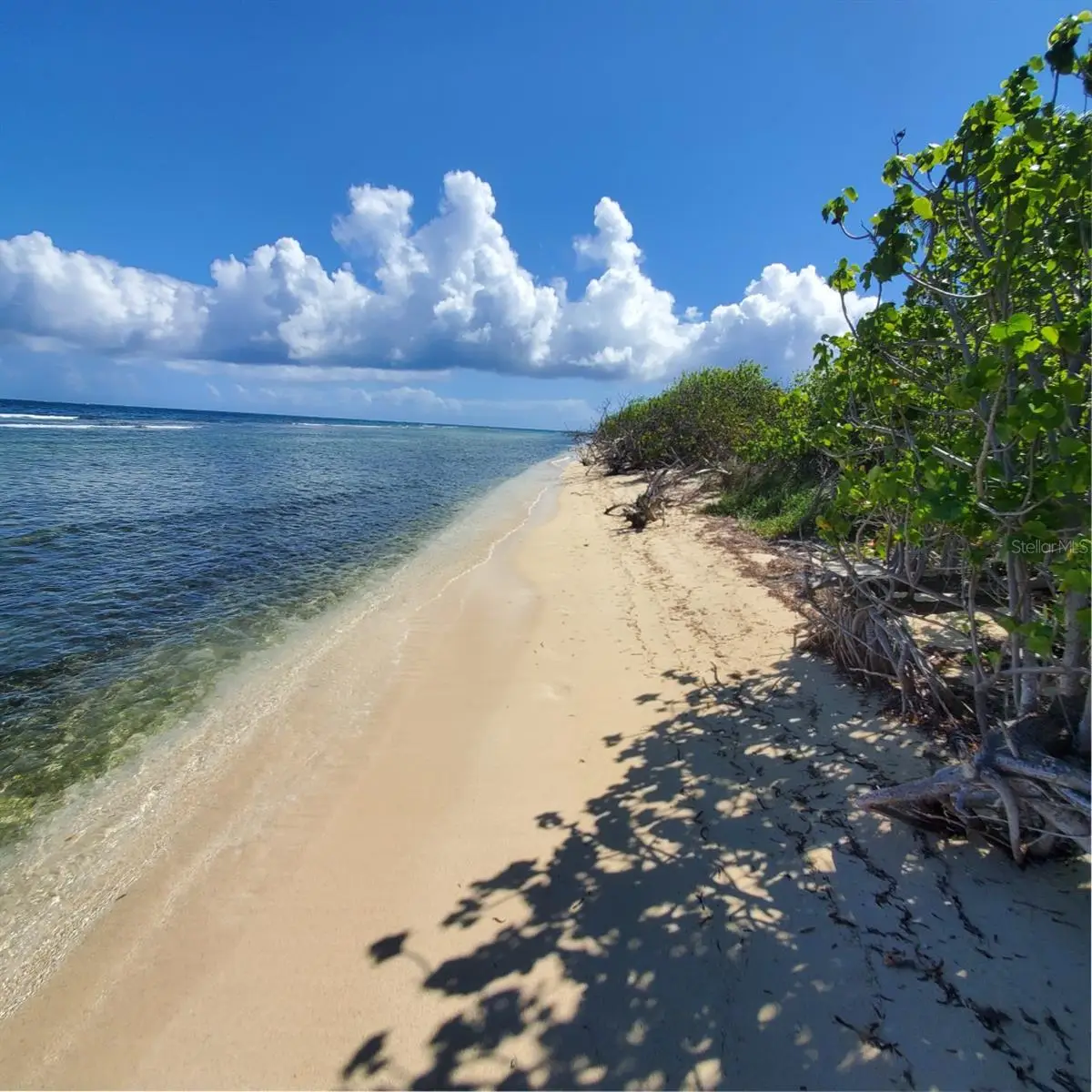 8C Barrio Frailes, Culebra, PR 00775 - #1