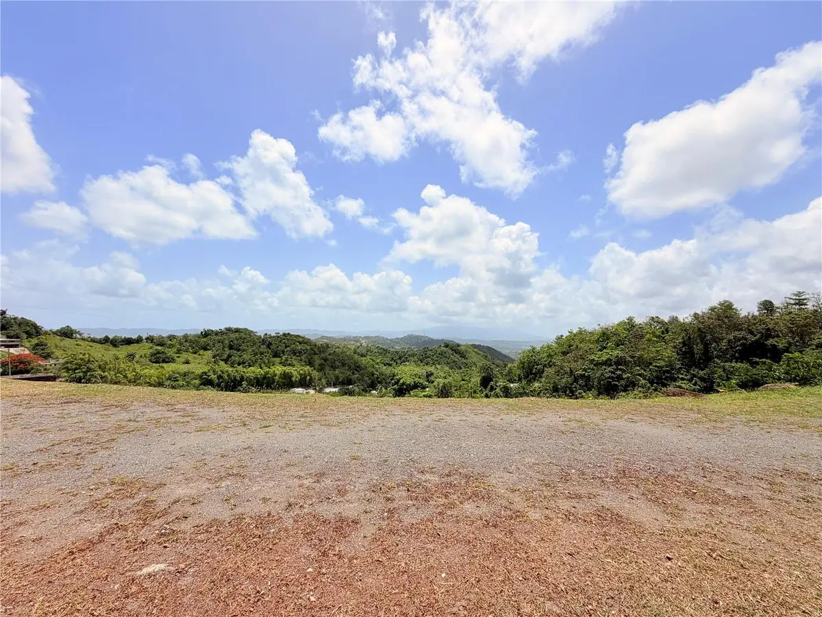 Bo. Quemado, San Lorenzo, PR 00754 - #1