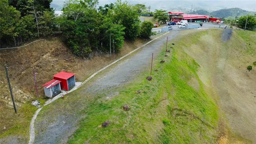 Bo. Quemado, San Lorenzo, PR 00754 - #3