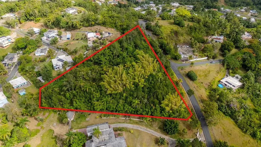 URB LA ESMERALDA A1 Orqudea, Caguas, PR 00725 - #3