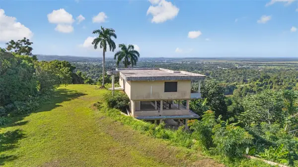 967 Bo. Zarzal, RIO GRANDE, PR 00745