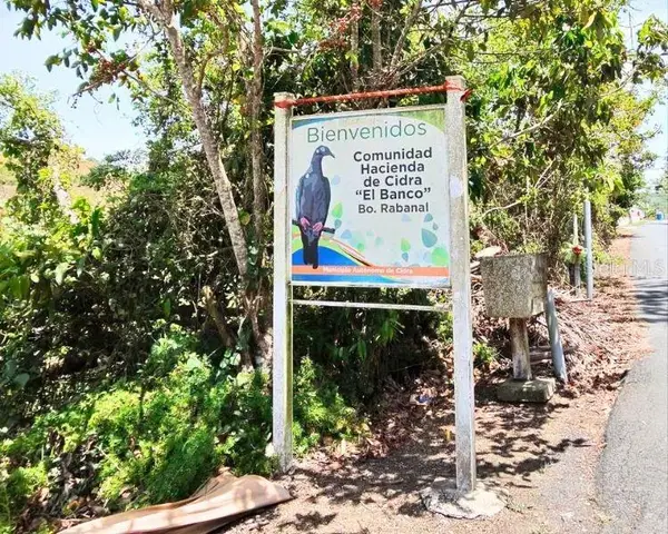 Hacienda De Cidra, Rabanal Parcela #32, CIDRA, PR 00739