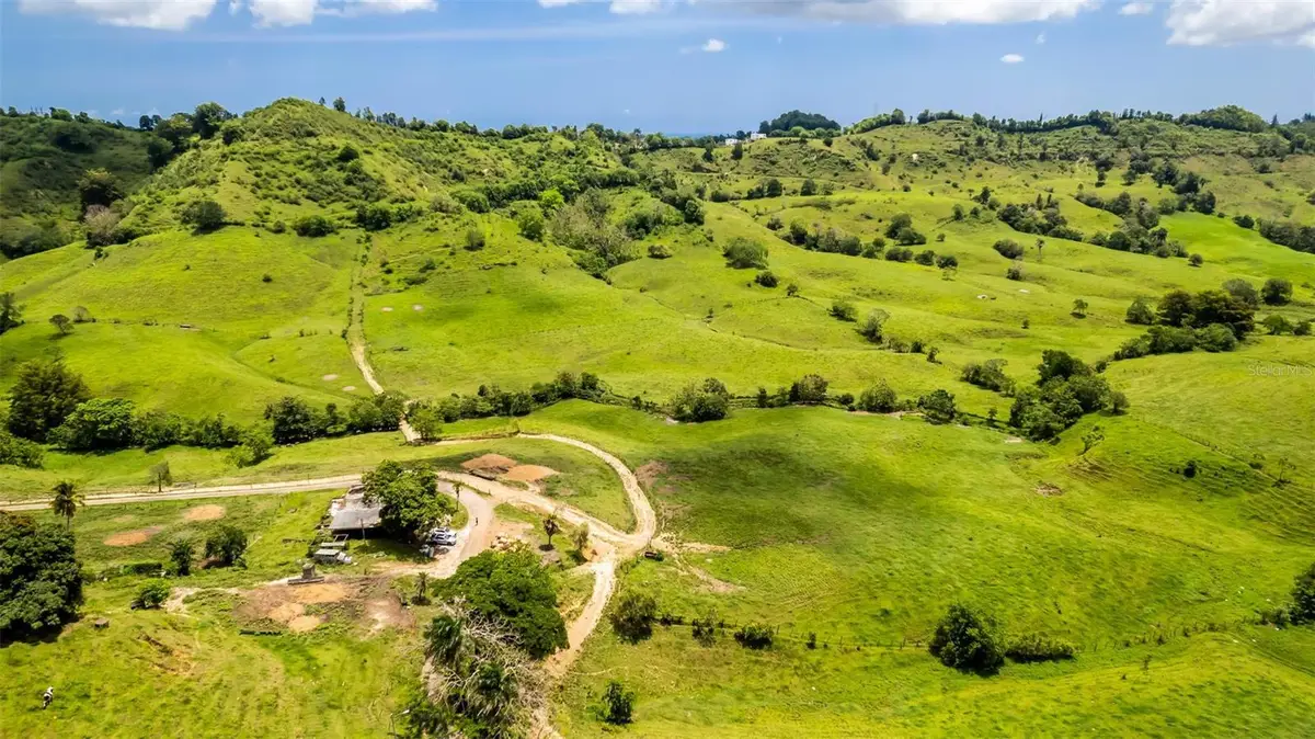 Km 1.6 633, Morovis, PR 00687 - #1