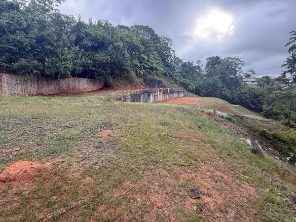 Bo Cedro Arriba Carr 809, Km 2 Hm 2 Interior, Nar, NARANJITO, PR 00719