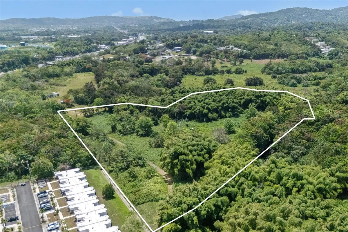 956 Guzman Abajo, Rio Grande, PR 00745 - #1