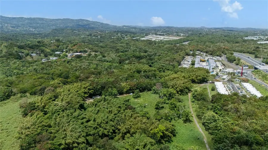 956 Guzman Abajo, Rio Grande, PR 00745 - #3