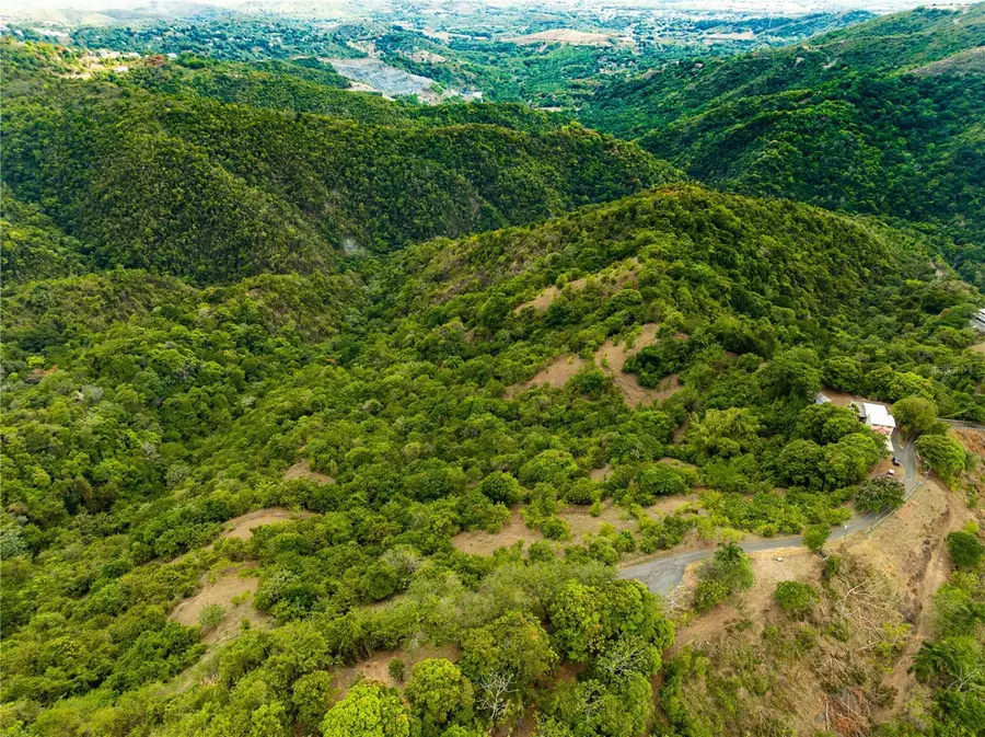 Tabonuco Ward Sr 365 Km 6.4 Int, Sabana Grande, PR 00637 - #2