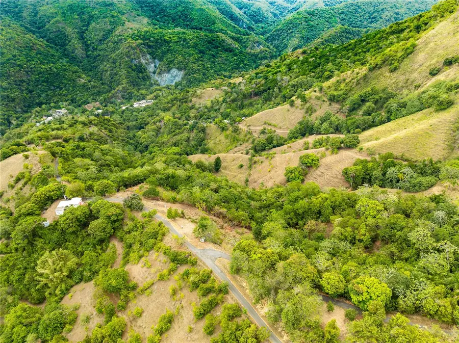 Tabonuco Ward Sr 365 Km 6.4 Int, Sabana Grande, PR 00637 - #3