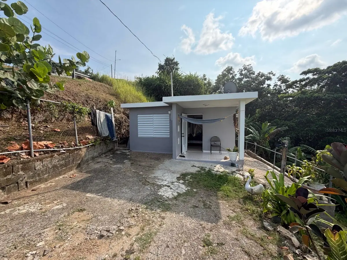Parcela 181 Sector El Comun, Rio Blanco, PR 00744 - #1