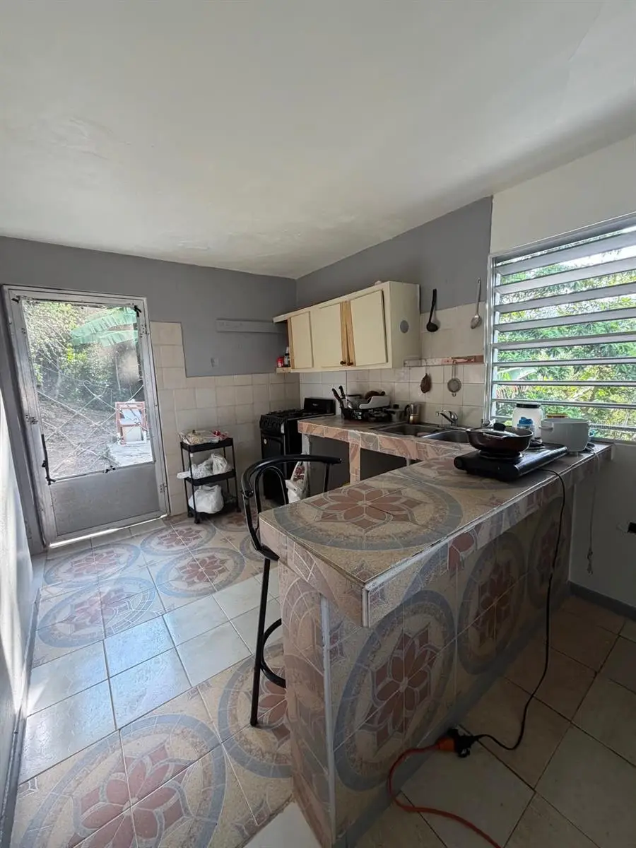 Parcela 181 Sector El Comun, Rio Blanco, PR 00744 - #3
