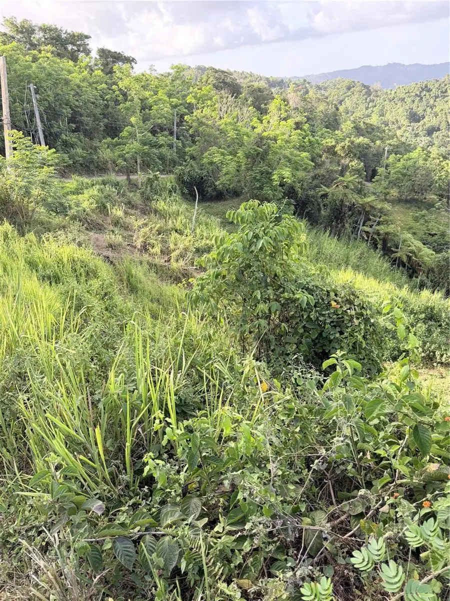 Pr 785 Km 2.0 #4, Caguas, PR 00727 - #2